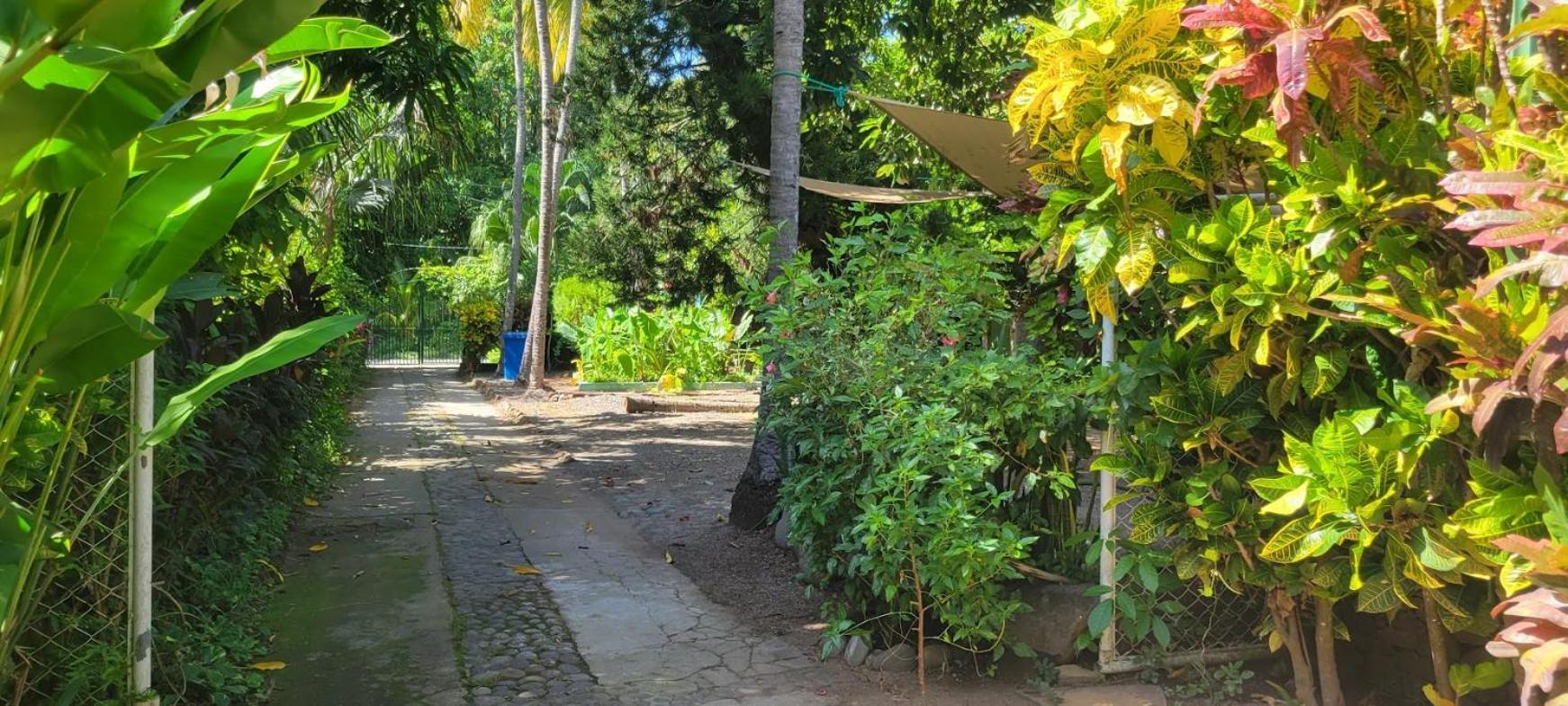 Hostal Tia Reyna El Zonte Exteriér fotografie